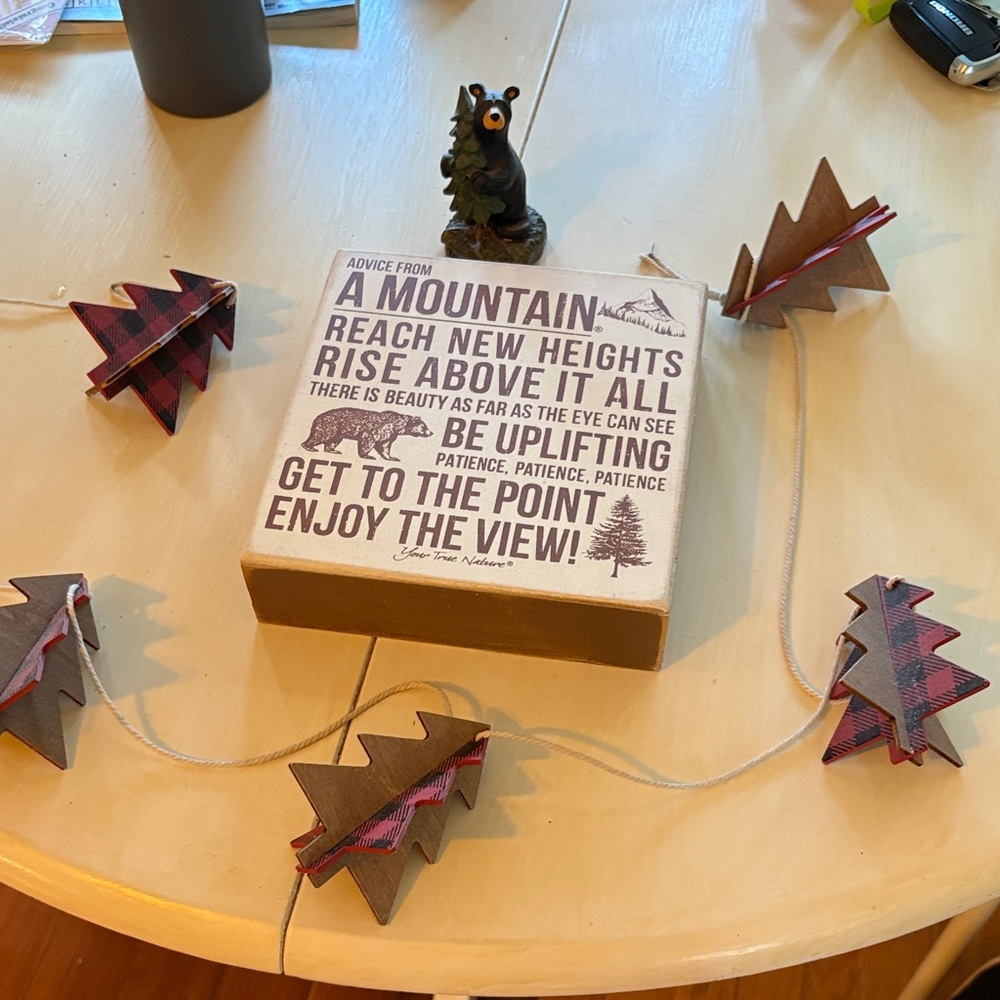 Cabin Decor - Mountain Quote Box with Tree Garland and bear figurine bundle